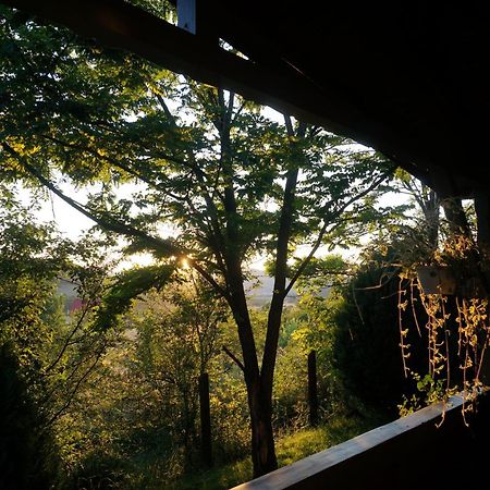 Natura Chalets Praid Exteriér fotografie
