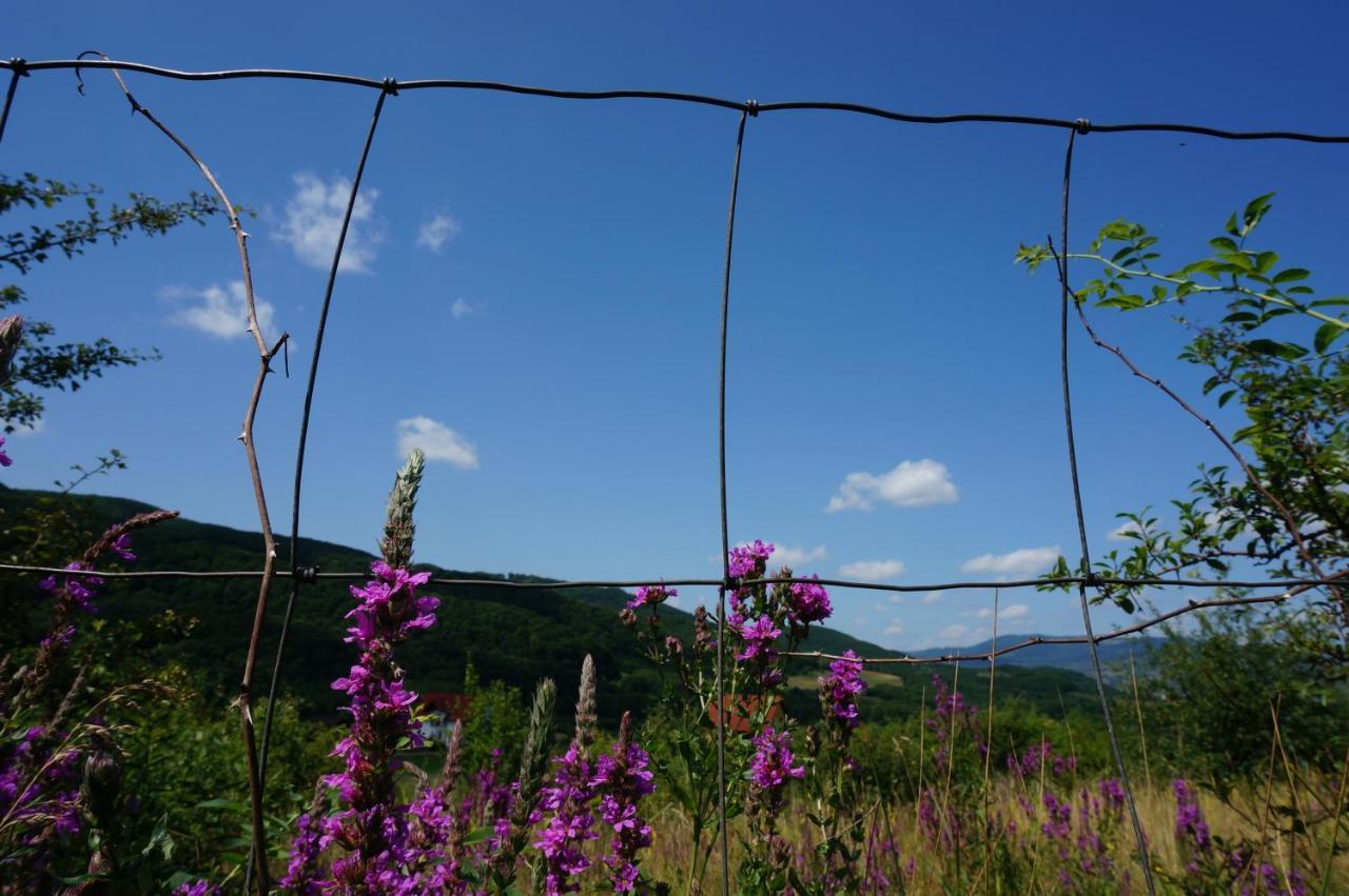 Natura Chalets Praid Exteriér fotografie