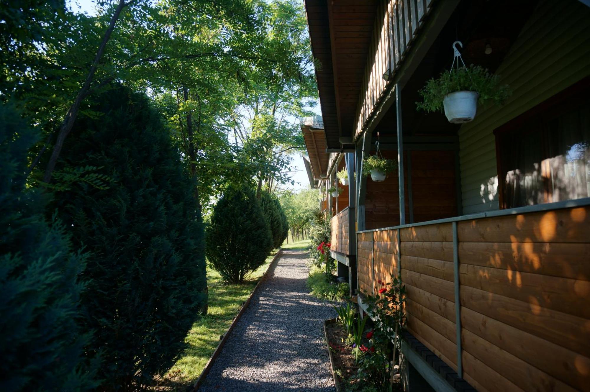 Natura Chalets Praid Exteriér fotografie